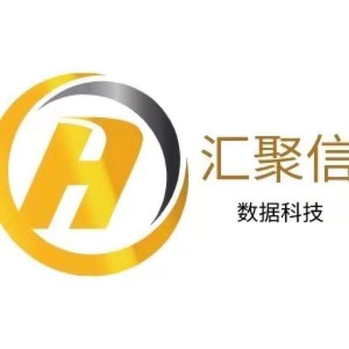 羅炳洪與信息系統集成服務 技術驅動的商業創新者